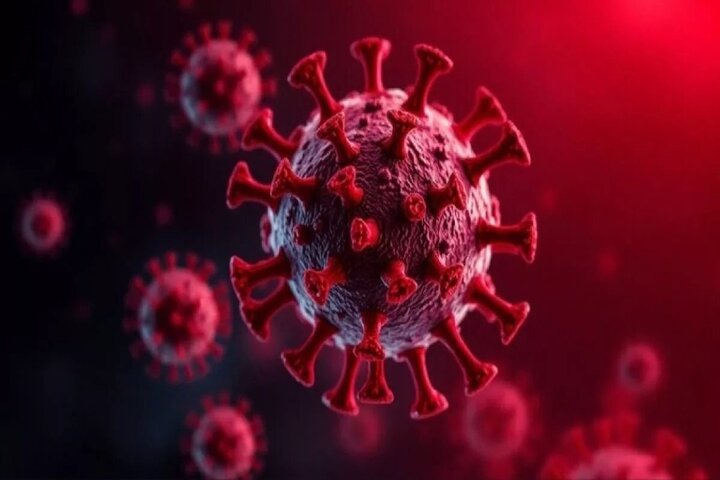 ویروس نیپا چیست و چه علائمی دارد؟ ویروس نیپا چیست و چه علائمی دارد؟