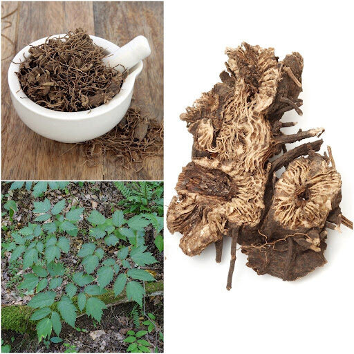 کوهوش سیاه چیست و چه خواصی دارد؟