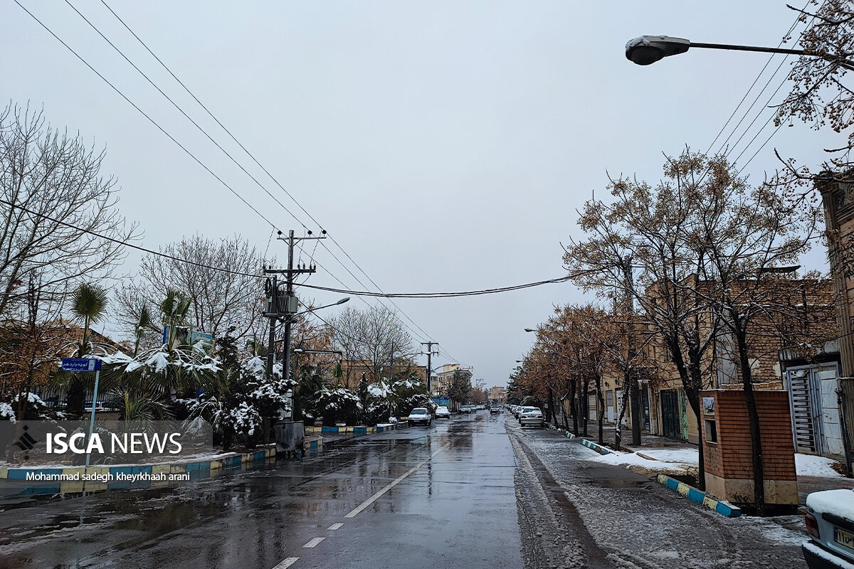 برف بهمن ۱۴۰۴ تصویری باشکوه از انسانیت و ایثار را در دلِ طوفان به نمایش گذاشت