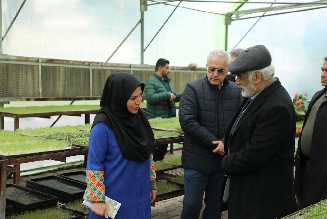 تولید بدون خاک سبزیجات در گلخانه میکروگرین دانشگاه آزاد کرج