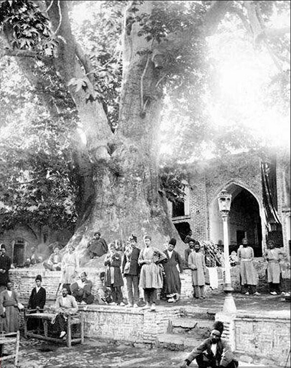 تصویری بسیار قدیمی از امامزاده صالح و کهنسال‌ترین چنار شمیران + عکس