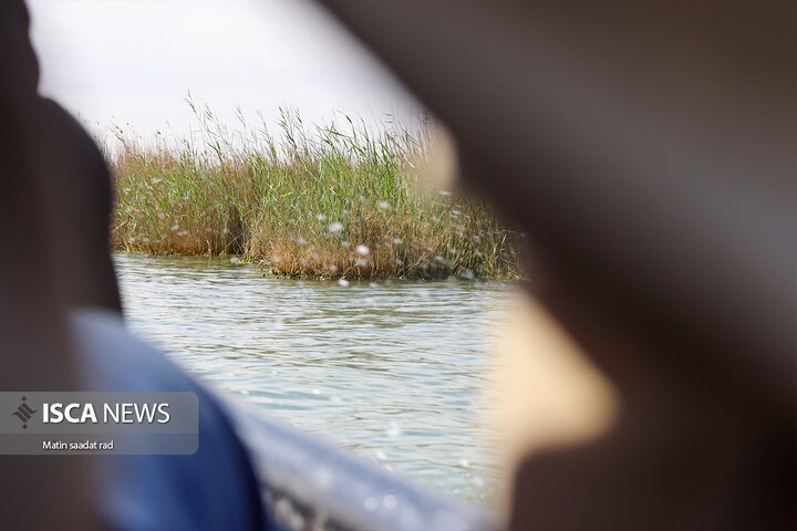 راهیان نور دانشگاه آزاد