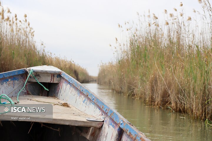 راهیان نور دانشگاه آزاد