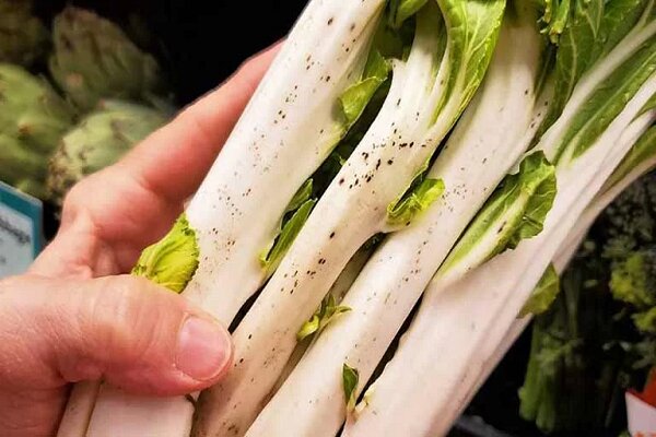 چه کسانی نباید کنگر بخورند؟