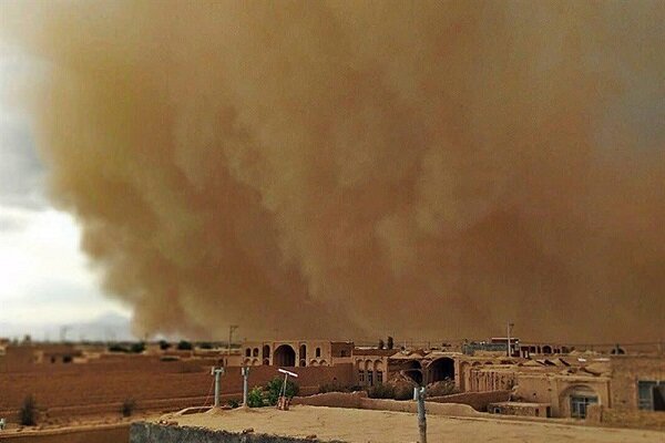 جنگل‌های زاگرس نبودند طوفان شن عربستان، ایران را می‌بلعید/ لزوم حفظ فیلتر بزرگ از آتش و قاچاقچیان چوب