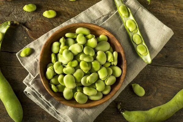 چگونه باقلا سبز را برای مدت طولانی نگهداری کنید؟