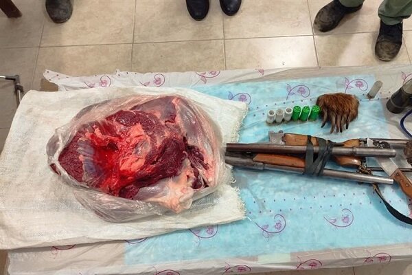 شکار خرس در منطقه شکار ممنوع سوادکوه + عکس