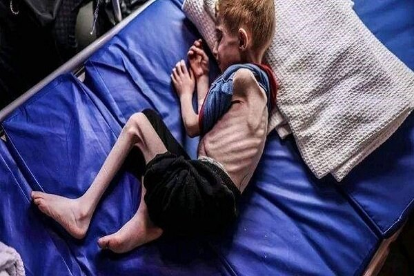 هشدار درباره مرگ جمعی بیش از ۲ میلیون نفر در غزه/ ذخایر غذایی تمام شد