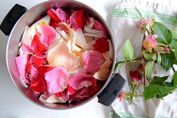 آموزش شیرینی پزی / طرز تهیه گلاب در خانه با روشی آسان و کاربردی