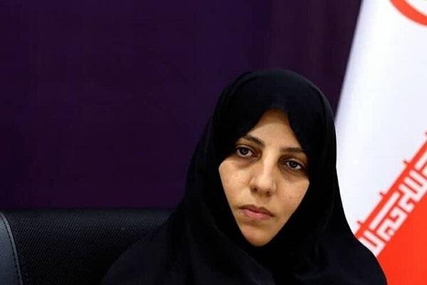 لایحه «امنیت زنان» درگیر بازی‌های سیاسی شده است/ مجلس نتوانست دیدگاه‌های دولت را تامین کند