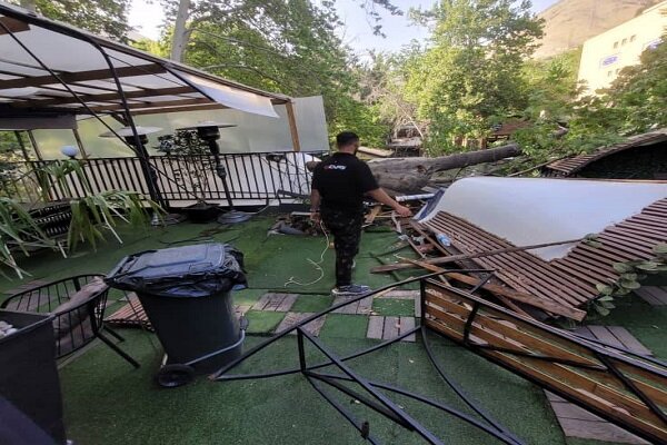 سقوط درخت ۲۵ متری روی یک رستوران در درکه تهران + فیلم