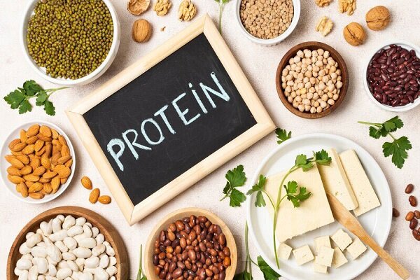 بدن هر فرد به چه میزان پروتئین نیاز دارد؟ بدن هر فرد به چه میزان پروتئین نیاز دارد؟