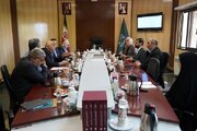 مراکز دادرسی مستقل مالیاتی و بیمه با همکاری قوه قضاییه راه‌اندازی می‌شود