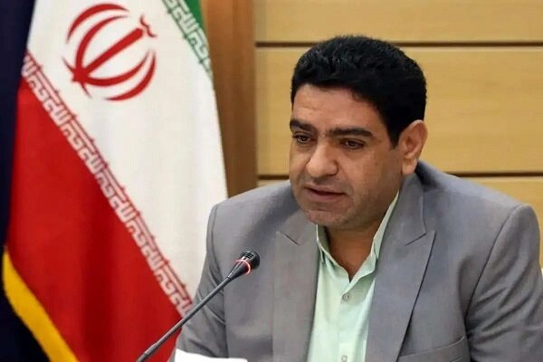 موج پیامکها علیه مدنیزاده با چه هدفی آغاز شده است؟/ ارسالکنندگان از فشار روانی پیامها بر نمایندگان اطلاع دارند