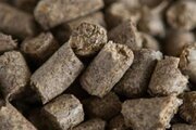 صادرات تفاله چغندر و نیشکر آزاد شد
