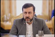 غریب آبادی: گزارش آژانس بر برخی ادعاهای بسته شده گذشته، تمرکز دارد