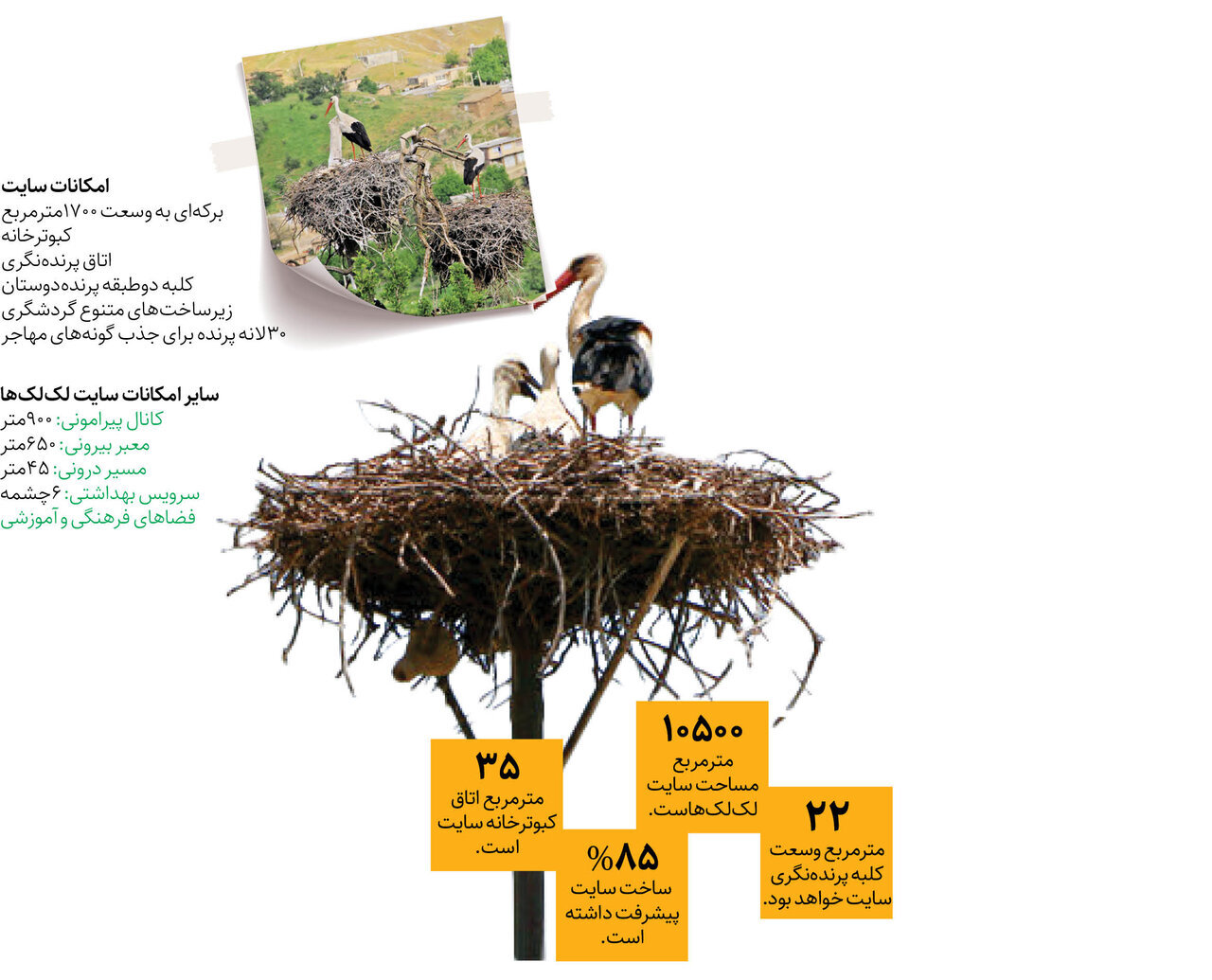 لکلکها به شهر ری بر میگردند