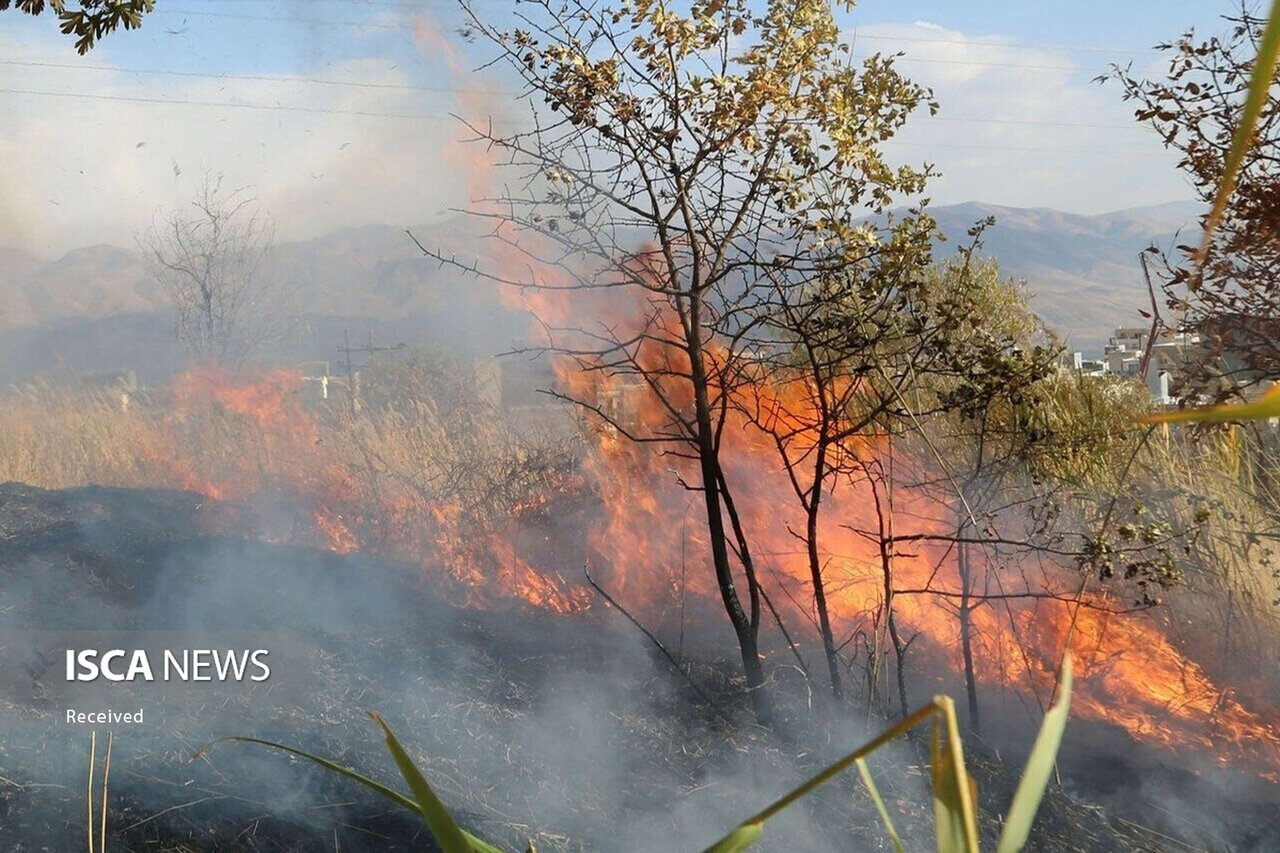 آتشِ سهلانگاری، جانِ ۲۰۰ هکتار از جنگل گلستان را گرفت