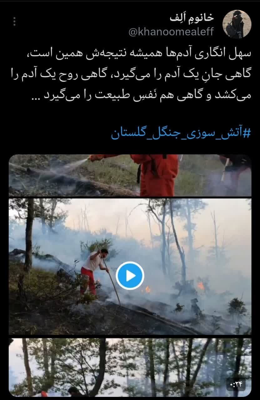 واکنش کاربران فضای مجازی به آتش سوزی پارک ملی گلستان