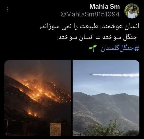 واکنش کاربران فضای مجازی به آتش سوزی پارک ملی گلستان