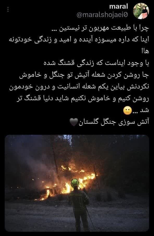 واکنش کاربران فضای مجازی به آتش سوزی پارک ملی گلستان