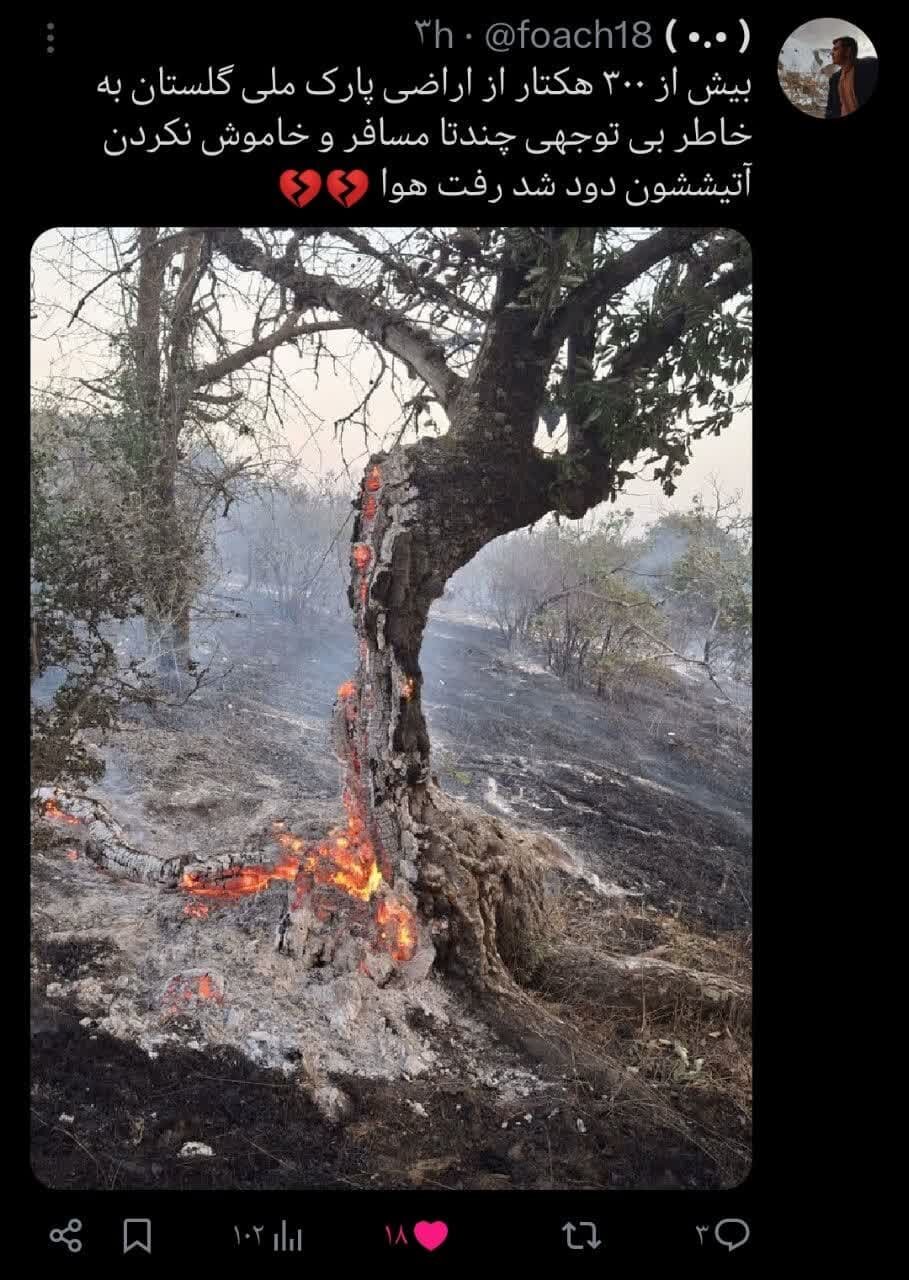واکنش کاربران فضای مجازی به آتش سوزی پارک ملی گلستان