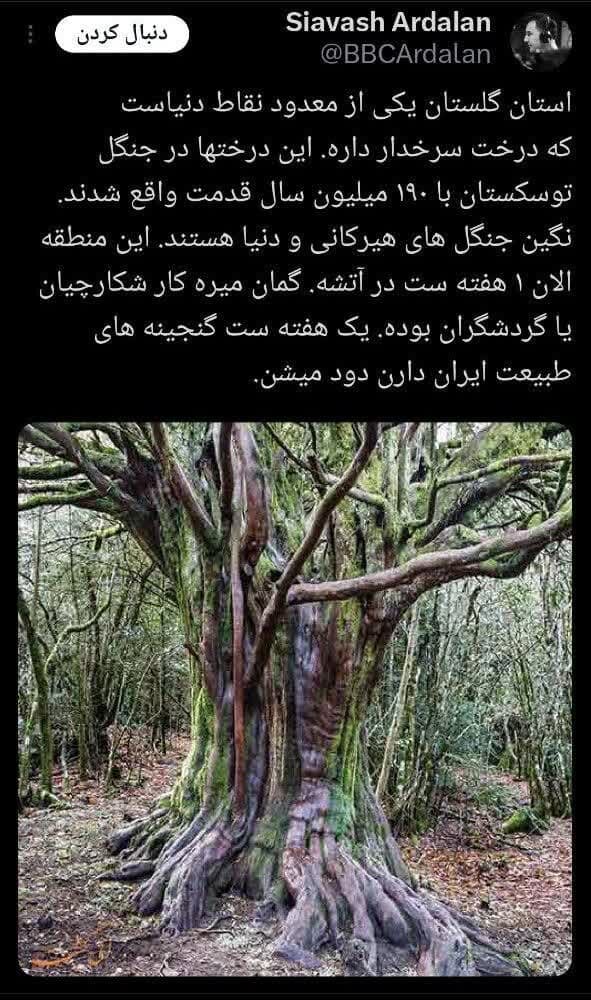 واکنش کاربران فضای مجازی به آتش سوزی پارک ملی گلستان