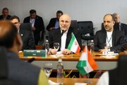 روسای مجالس ایران و هند بر توسعه مسائل اقتصادی تاکید کردند