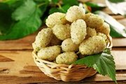 ۱۰ خاصیت شگفت‌انگیز توت سفید