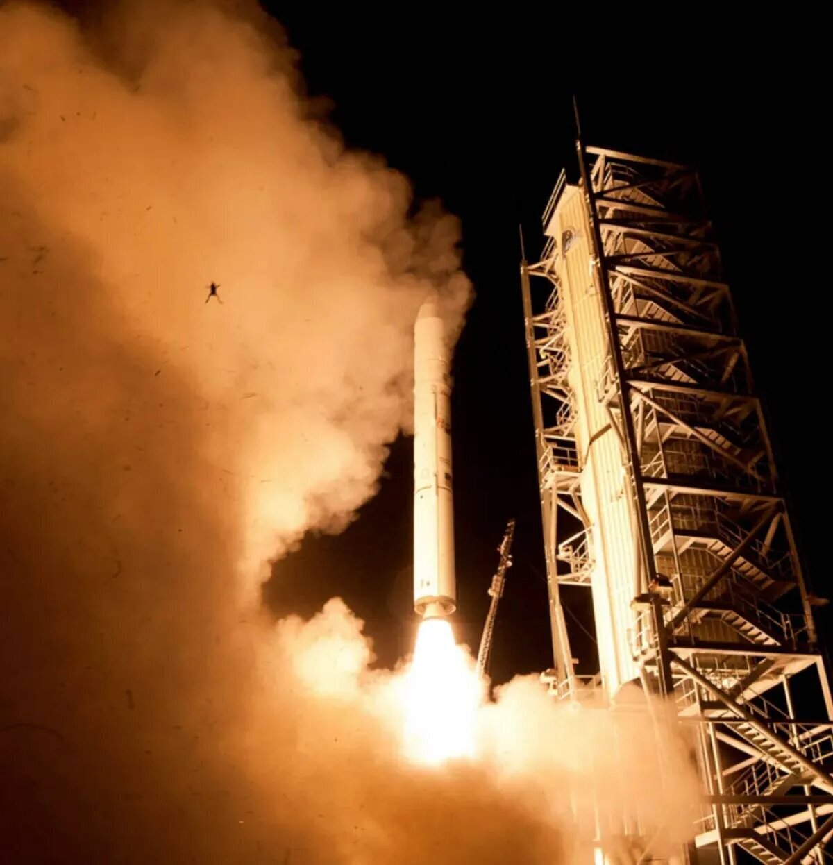 قورباغه بدشانسی که همراه موشک به هوا پرتاب شد! + عکس