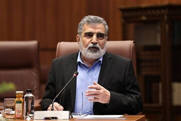 کمالوندی: منافع‌مان را یا با دیپلماسی می‌گیریم یا با نبرد