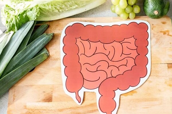 ۶ خوراکی بدنام که در واقع دوست روده هستند!