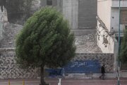 هواشناسی ایران / وزش باد شدید در شرق کشور
