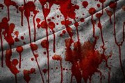 ترور یک دانشمند هسته‌ای دانشگاه شریف و همسرش