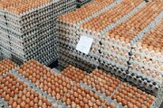 گرما، قیمت تخم‌مرغ را کاهش داد+ جدول قیمت برخی کالاهای اساسی