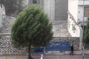 هواشناسی ایران / وزش باد شدید و خیزش گرد و خاک در ۱۸ استان