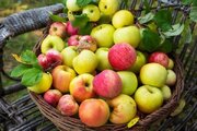 معجزه خوردن یک سیب در روز