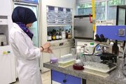 دانشمندان نقش اساسی در پیشبرد جامعه دارند