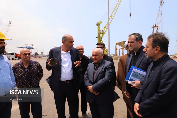 بازدید