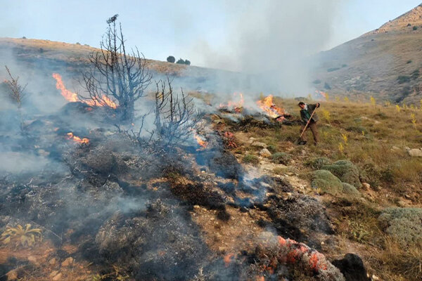 آتشسوزی در ارتفاعات شیروان و منطقه آلاداغ مهار شد