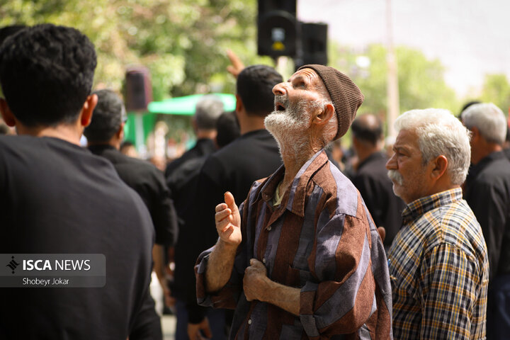 آیین سنتی نخل‌برداری عاشورای حسینی در مهریز استان یزد