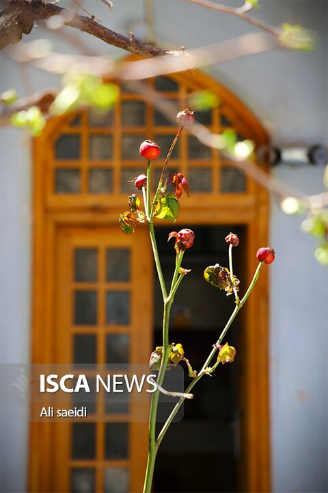 اصفهان: سفری در گذر زمان؛ از سلجوقی تا صفوی در قلب محلات شهر