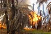آتش‌سوزی در اروندکنار / ۲۰ هزار نهال خرما از بین رفت