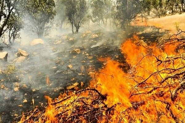 هشدار افزایش خطر آتشسوزی در مناطق جنگلی زاگرس هشدار افزایش خطر آتشسوزی در مناطق جنگلی زاگرس