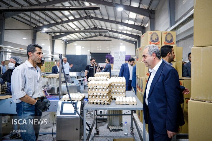 کارگروه تسهیل رفع موانع تولید