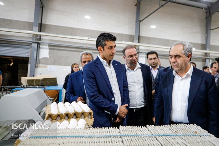 کارگروه تسهیل رفع موانع تولید