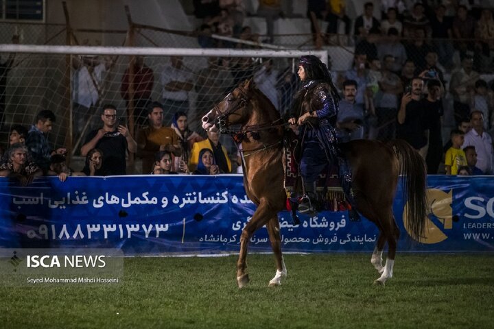 برند اسب اصیل کُرد متعلق به کرمانشاه است و باید احیا شود