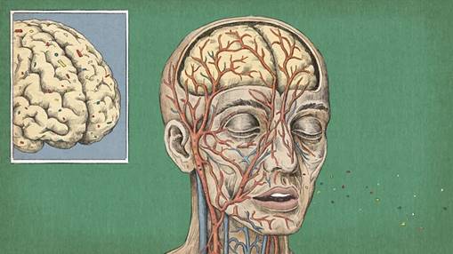 میکروپلاستیکهای چگونه روی سلامت ما تأثیر میگذارند؟