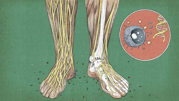 میکروپلاستیکهای چگونه روی سلامت ما تأثیر میگذارند؟