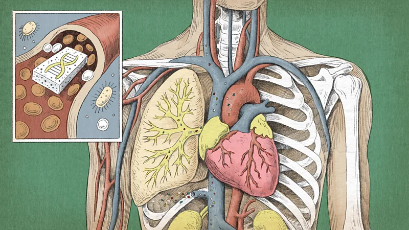 میکروپلاستیکهای چگونه روی سلامت ما تأثیر میگذارند؟